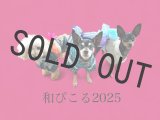 【販売ページです】【6月下旬 納品】☆ 和ぴこる 2025☆　浴衣さんと甚平さん