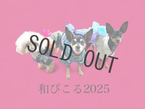 画像1: 【販売ページです】【6月下旬 納品】☆ 和ぴこる 2025☆　浴衣さんと甚平さん