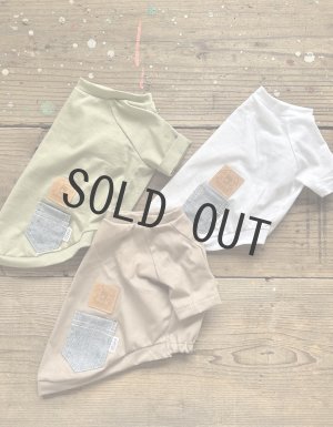 画像1: 【 販売ページです】☆ primashine simple tee shirt ☆