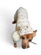 画像4: 【追加販売ページです】UCHINOKO skin dream pajama★ ≪custom-made line≫ (4)